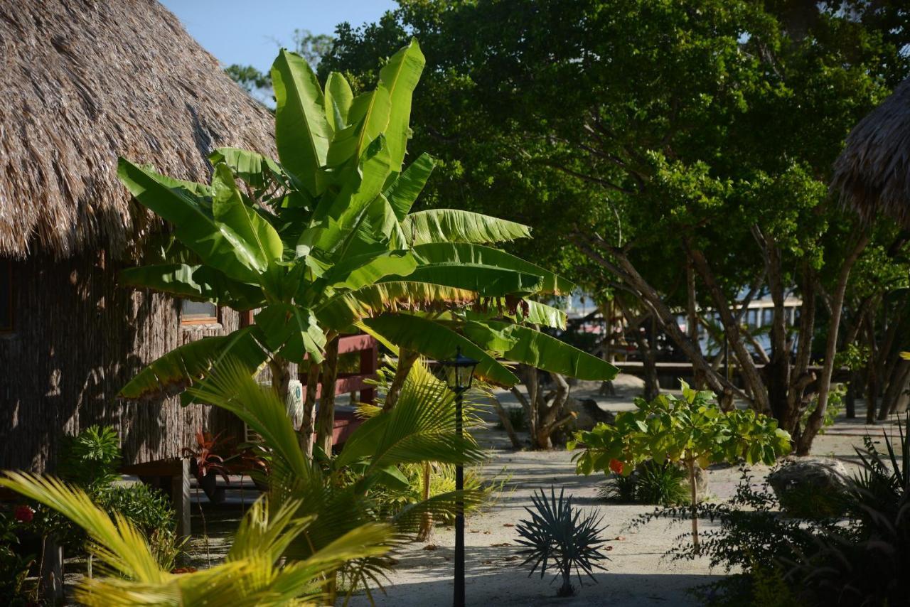 El Ben Cabanas Caye Caulker Ngoại thất bức ảnh